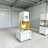 C-type Servo Press